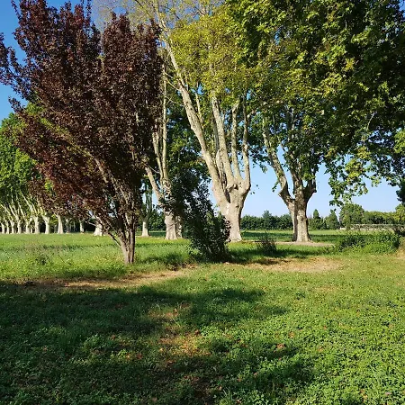 Campagne De Fortune Avignon